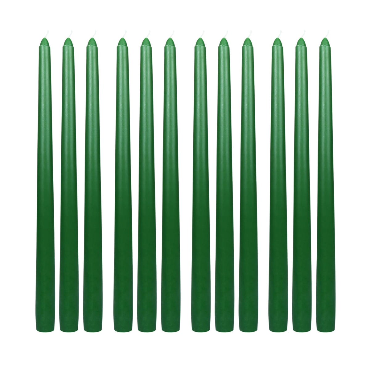 Zest Candle 12-Piece Taper Candles, 12-Inch, Hunter Green