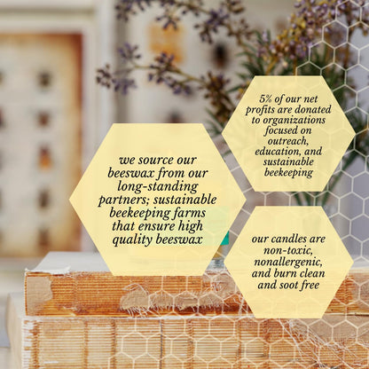 Big Dipper Wax Works Beeswax Aromatherapy Candle – Awaken, Grapefruit & Spruce, Apothecary Glass 2” x 2.5” – 25-Hour Burn, 100% Pure Beeswax with Essential Oils, Clean & Eco-Friendly
