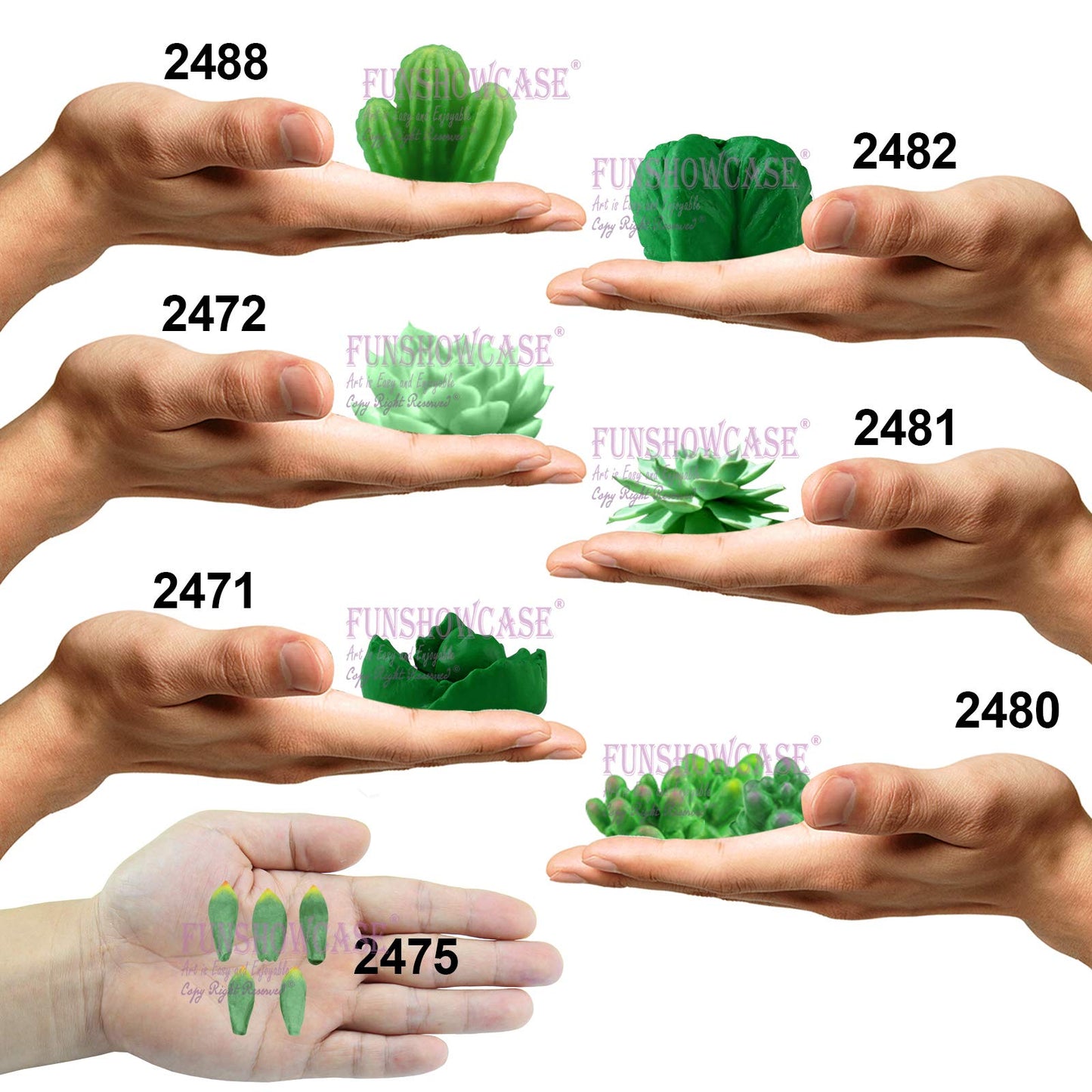 Funshowcase Cactus and Succulent Plant Silicone Molds Set for Epoxy Resin Soap Candle Wax Polymer Clay Concrete Plaster Fondant Cake Decor Chocolate with Beginner Tutorials