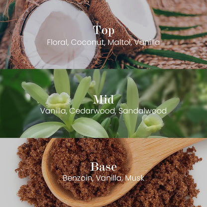 M&SENSE Natural Soy Candle| Vanilla Sandalwood | 5.3 oz | Mini Spring Scented Candles for Relaxation,Meditation, Home Décor | for Bedroom, Office, Party Small