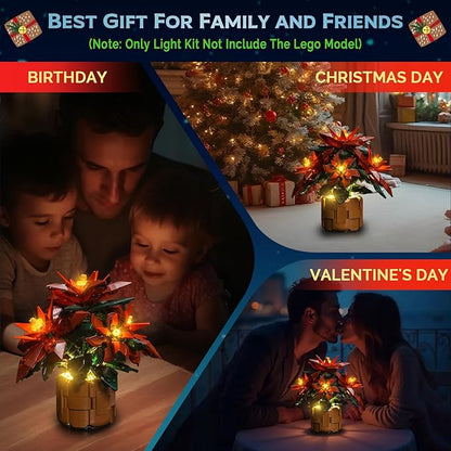 Upgraded Led Light Kit Compatible with Lego Icons Poinsettia Home Decor Building Set Compatible with Lego 10370 (Model Not Included)