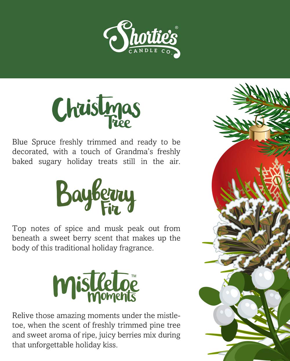 Pine Premium Tealight Candles Variety 3 Pack (18 Highly Scented Tea Lights) - Bayberry Fir, Christmas Tree, Mistletoe Moments - Made with Natural Fragrance Oils - Collection