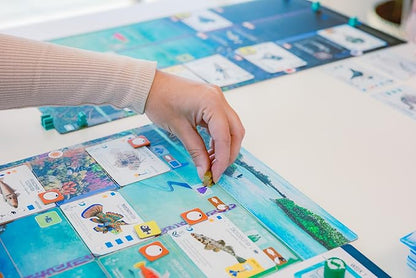 Stonemaier Games: Finspan - A Wingspan Game by David Gordon &amp Michael O’Connell | A Relaxing Strategy Board Game About Collecting Fish and Ocean Diving for Adults and Family | 1-5 Players 60 Mins