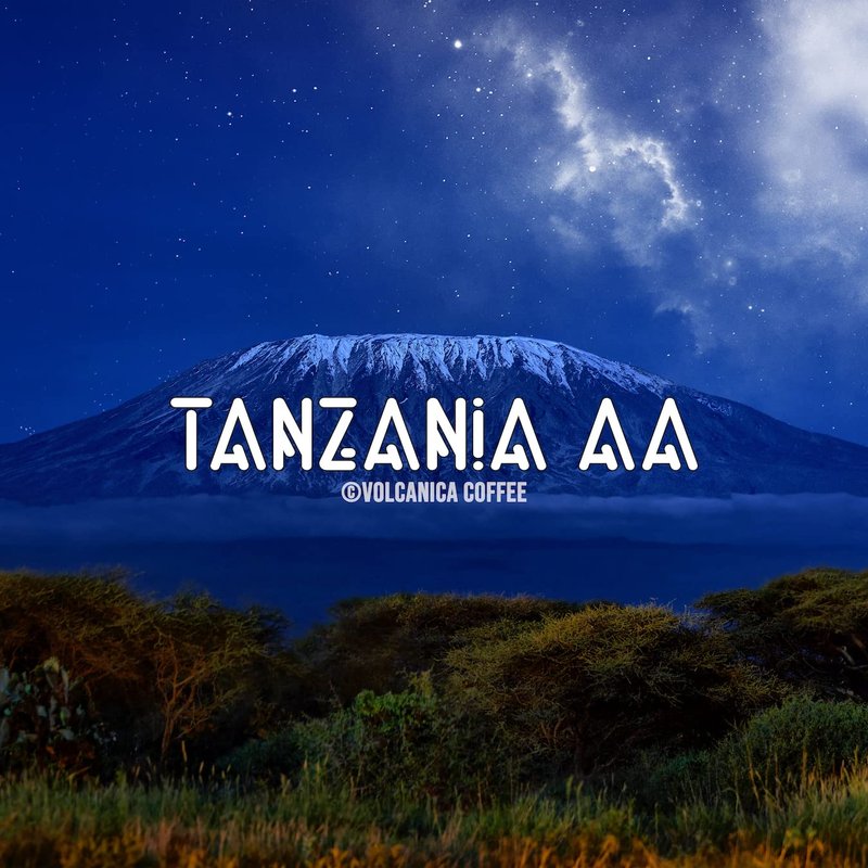 Tanzania AA Coffee, Mount Kilimanjaro, Whole Bean, Fresh Roasted, 16-ounce