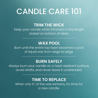 Yankee Candle Large Tumbler Scented Candle with up to 80 Hour Burn Time, Premium Plant Wax Blend for Consistent Burn, 20 oz Tumbler Candle with Room Filling Fragrance, Bahama Breeze