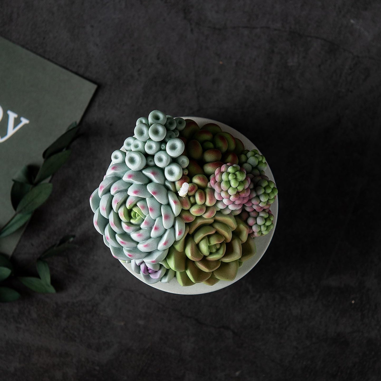 Assorted Succulent Pot Scented Vegetable Wax Candle for Spa Home Decoration Wedding Gift