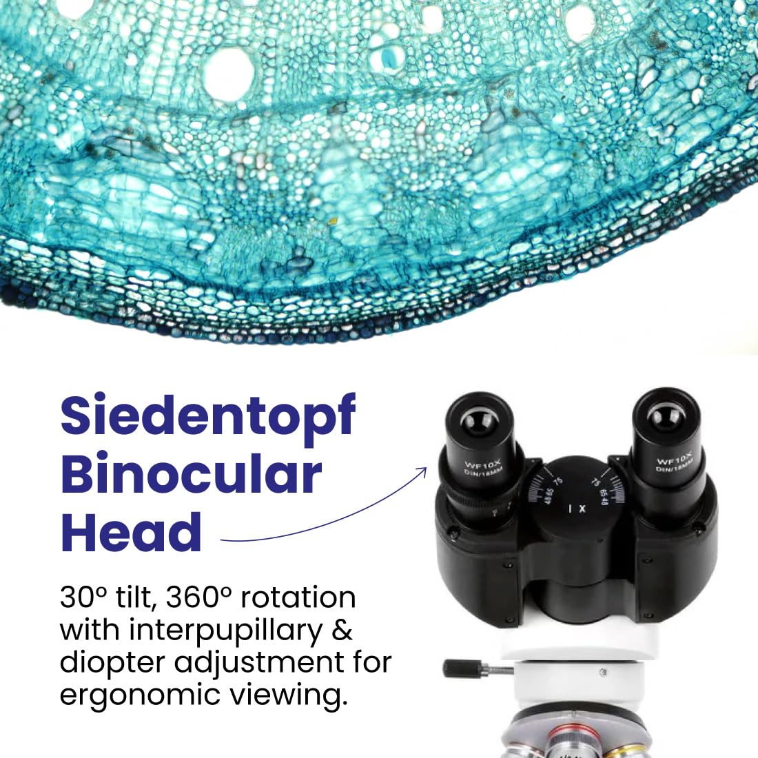 AmScope B120 Series Student & Professional LED Binocular Compound Microscope - 40X-2500X Magnification - Includes 5MP USB Camera & Siedentopf Head