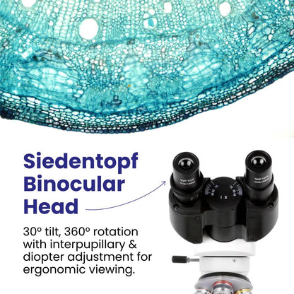 AmScope B120 Series Student & Professional LED Binocular Compound Microscope - 40X-2500X Magnification - Includes 5MP USB Camera & Siedentopf Head