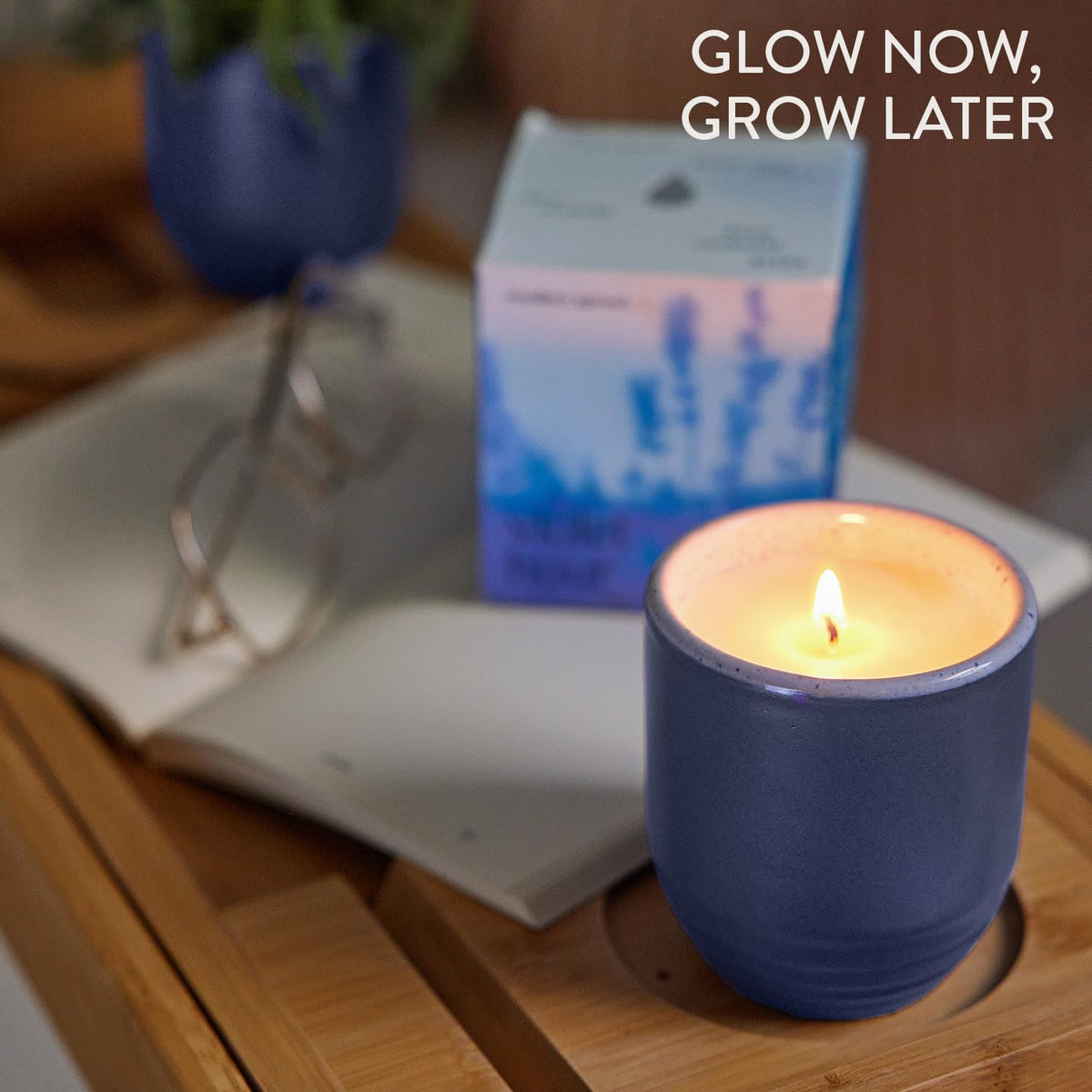 Modern Sprout - 2-in-1 Soy Candle & Planter - Violet Hour (Lavender, Grape Soda, Wild Iris, Violet) 6 Oz Scented Candle w/Lavender Seeds - Ceramic Vessel Dual Purpose Jar - 38-40 Hour Burn