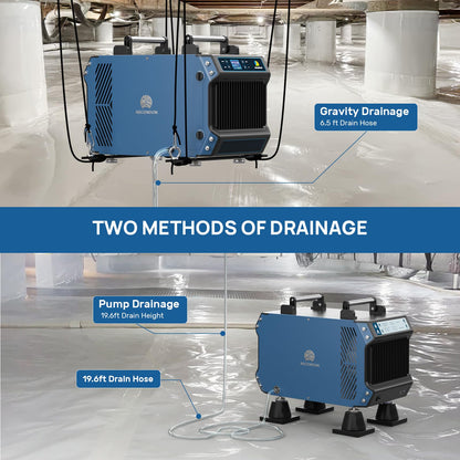 ARGENDON 145 Pint Crawl Spaces Dehumidifier with Pump, Commercial Dehumidifier with Drain Hose for Basement, Auto Defrost, Compact, Large Spaces up to 1800 Sq.Ft, 5 Years Limited Warranty