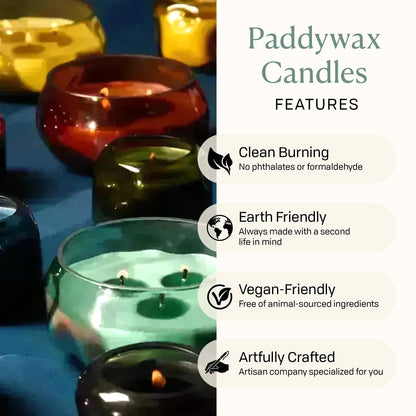 Paddywax Basalt Collection Scented Candle, Soy Wax Blend Glass Jar with Lid, Reusable Home Décor Candle, 10 oz, Green Vessel, Wild Fig and Cedar