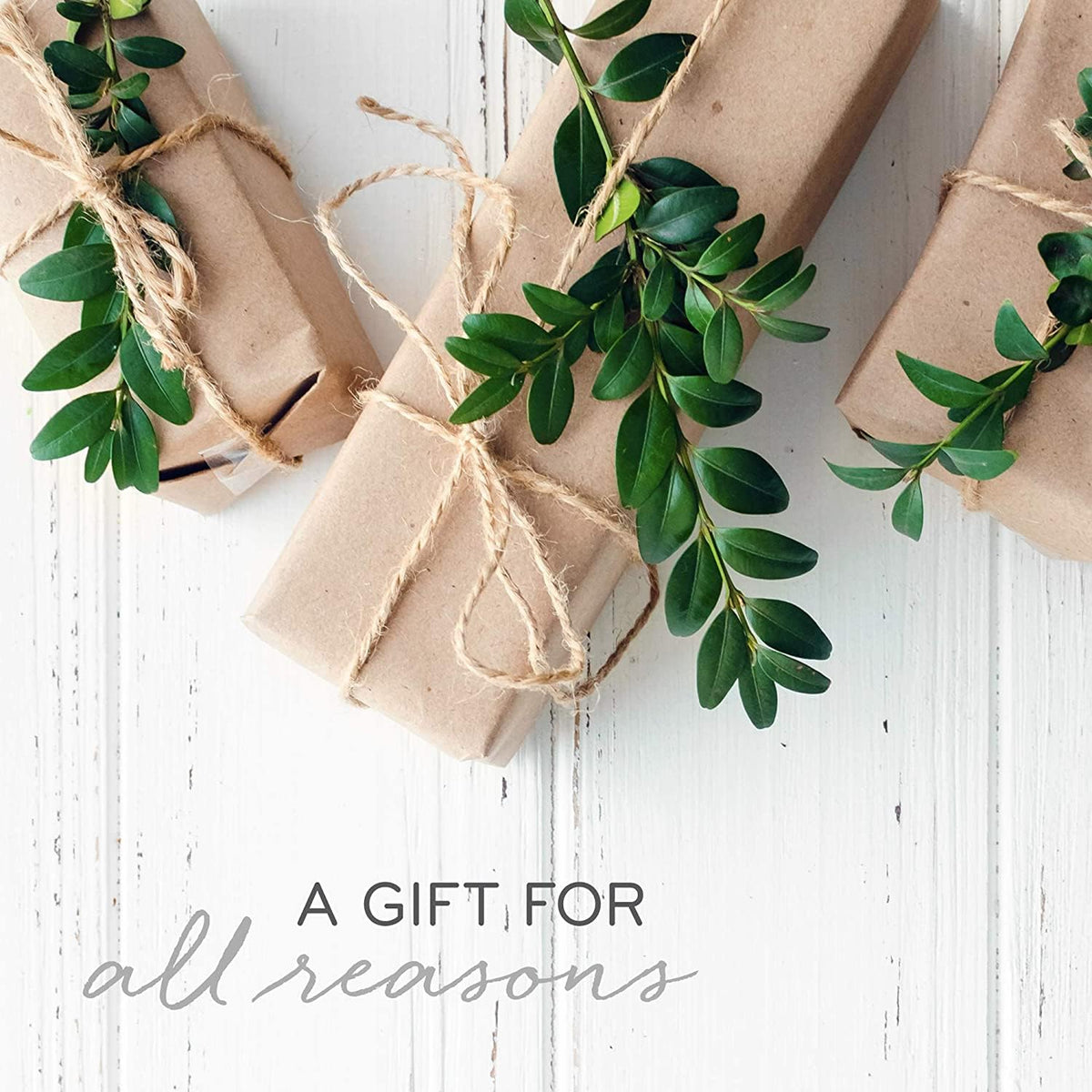 Thymes Scented Candles for Home Decor - Luxury Home Fragrance Gifts for Women & Men - Winter Candles with Crisp Notes of Sage, Eucalyptus, & Cypress Needles - Sage-Green (Highland Frost, 13 oz)