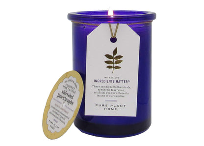 Holday Aromatherapy Candles (Wildcrafted French Lavender, 5.5 Ounce Recycled Glass)