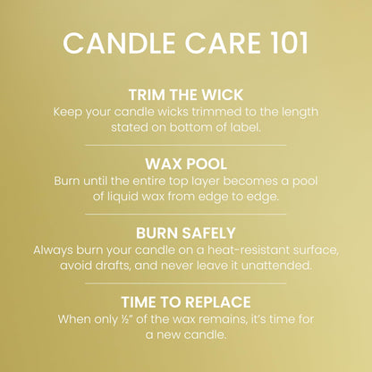 Yankee Candle Sicilian Lemon, Scented Candle, 14.5oz 3-Wick Candle Jar with up to 40 Hours Burn Time