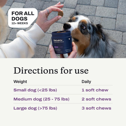 PetLab Co. Probiotics for Dogs, Support Gut Health, Occasional Diarrhea, Digestive Health & Seasonal Allergies - Pork Flavor - 30 Soft Chews - Packaging May Vary