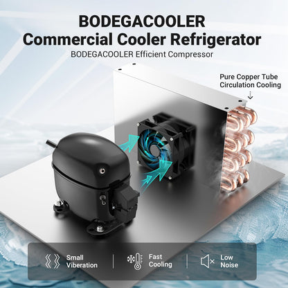 BODEGACOOLER Commercial Merchandiser Refrigerator, 12.5 Cu.Ft Glass Door Display Cooler, Upright Beverage Refrigerator with Soft LED Light, Adjustable Shelves, 4 Heavy-Duty Stainless Steel Casters