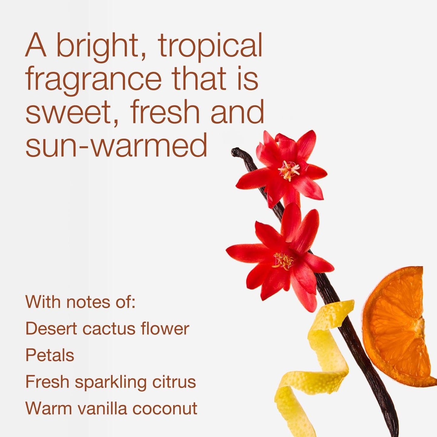 Bath & Body Works Cactus Blossom 3-Wick Candle - Scented Candle for At-Home Use - Long-Lasting, Room-Filling Fragrance - High Fragrance Oil Concentration - Soy Wax Blend - 2-Pack