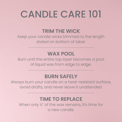 Yankee Candle Vanilla Cupcake, Scented Candle, 14.5oz 3-Wick Candle Jar with up to 40 Hours Burn Time, Giftable