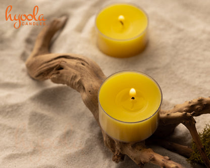 Hyoola Tealight Citronella Candles Outdoor, 8 Hour Burn Time, Indoor and Outdoor Mosquito, Insect and Bug Repellent Citronella Candle, Natural Fresh Scent, Decorative in Clear Cup (Pack of 40)