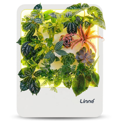 LinneGarden Indoor Garden Hydroponic System with LED Grow Light Indoor herb Garden, Indoor Garden Hydroponic System with LED Grow Light (White)
