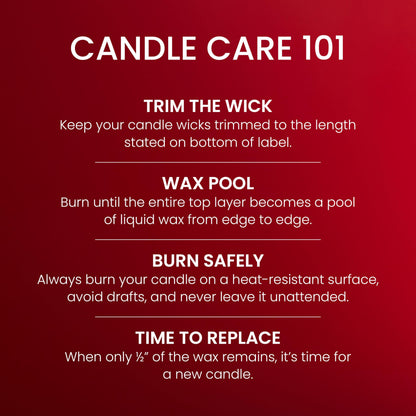 Yankee Candle, Macintosh Scented Candle, 20oz Classic 2-Wick Tumbler with up to 80 Hour Burn Time