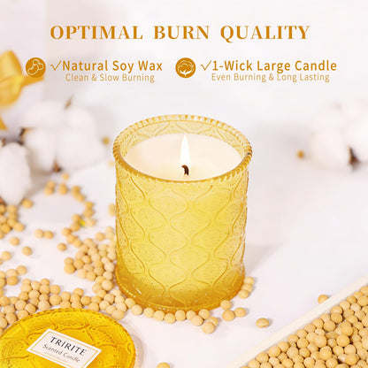 Sandalwood Fig Amber Scented Candles, Natural Soy Wax Jar Candle in Glass 45 Hours Clean Burn, Gift-Ready for Hosts & Gatherings Elegant Home Décor