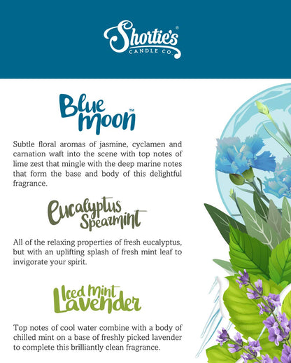 Fresh & Clean Premium Tealight Candles Variety 3 Pack (18 Highly Scented Tea Lights) - Blue Moon, Iced Mint Lavender, Eucalyptus Spearmint - Made with Natural Fragrance Oils - Fresh & Clean Collection