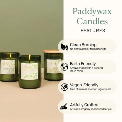 Paddywax Eco Collection Scented Soy Wax Candle in Glass Jar, Mandarin & Lavender Fragrance, Green Vessel with Wood Lid, 8 oz