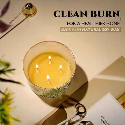 HomeLights Soy Wax Candles for Home Scented, 4-Wick Candles in English Pear & Suede Scented, Aromatherapy Candles Gift for Parties, Relaxing, Bohemian Natural Textures, 18oz
