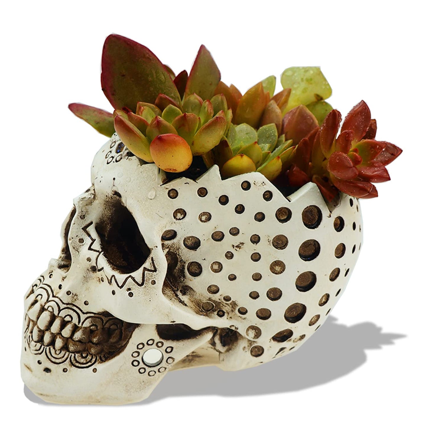 Skull Candle Holder Planter Gothic Halloween Decor Day Dead Skull Gift Goth Home Accessory-5.9” with Votive Tealight
