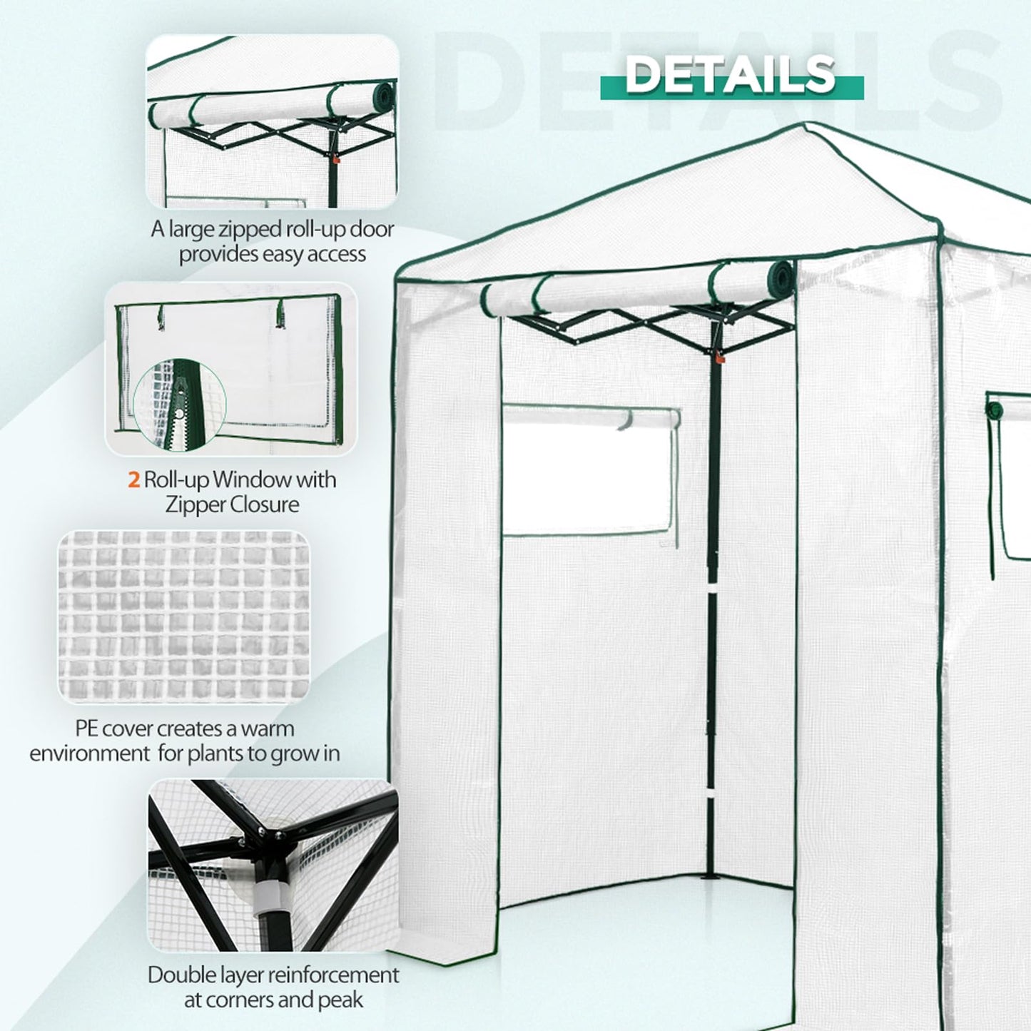 EAGLE PEAK 6x4 Portable Walk in Greenhouse, Pop Up Indoor Outdoor Greenhouse, Green House Kit with Zippered Roll-Up Doors and Windows, PE Cover, Clear/White