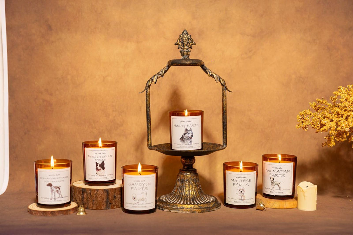 Dalmatian Gifts & Decor, Dog Mom Gifts for Women, Smells Like Dalmatian Farts Candle - Lavender & Eucalyptus, Crafted by Natural Soy Wax & Natural Essential Oils