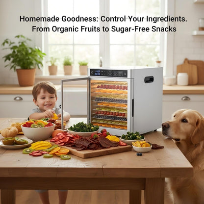 Commercial Food Dehydrator 12 Tray Stainless Steel with One-Touch Presets, 800W Professional Jerky Maker with Dual Fans, 360° Airflow, 86°F-185°F Digital Timer for Herbs, Fruits, Dog Treats