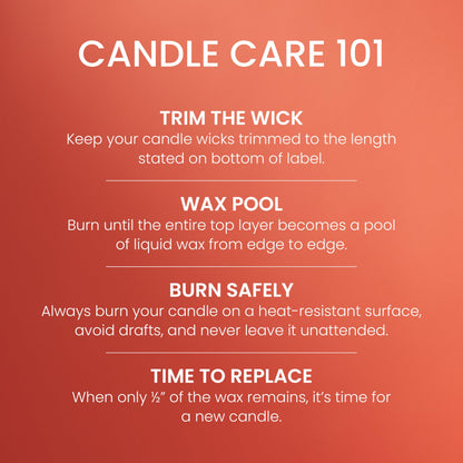 Yankee Candle Studio Scented Candle, Single Wick Jar Candle for Home Fragrance, Premium Plant Wax Blend, Long Lasting Burn, Spiced Pumpkin (Pack of 1)