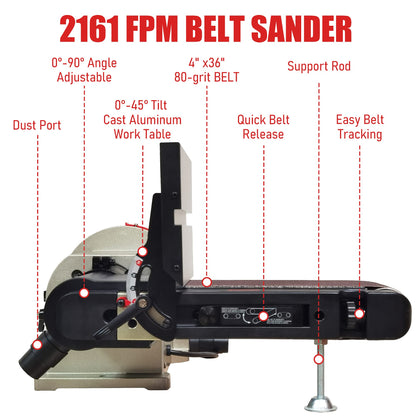 BUCKTOOL Direct Drive Bench Belt Sander, 4x36 in Belt and 8 in Disc Sander, 3/4HP Belt Sander for Woodworking, 5.0A Benchtop
