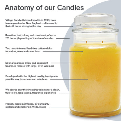 Village Candle Mulled Cider Medium Glass Apothecary Jar Scented Candle, 13.75 oz., Red