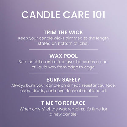 Yankee Candle Dried Lavender & Oak, Scented Candle, 14.5oz 3-Wick Candle Jar with up to 40 Hours Burn Time, Giftable
