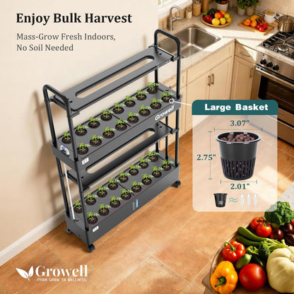 Growell Large Basket Hydroponics Growing System Kit, 32 Pods Vertical Hydroponic Garden with 2 Grow Light Modes, Auto Circulating Water System, 32L Indoor Gardening System for Herb Vegetable Fruit
