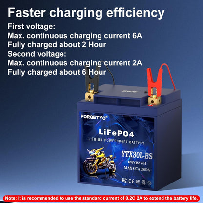 Lithium Motorcycle Battery, Forgetyo YTX30L-BS LiFePO4 Battery, 12V 12AH 850A ATV, UTV, Jet Ski, 4 Wheeler and Lawn Mower Battery