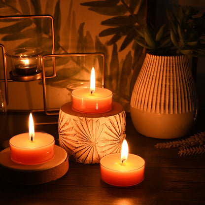 Zest Candle 12-Piece Tealight Candles, Mega Oversized Orange s