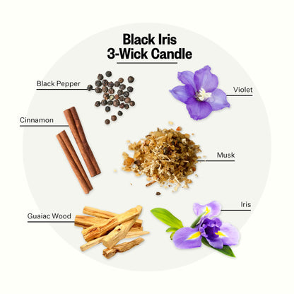 Apotheke 3-Wick Scented Candles for Home, Black Iris Oak - 26 oz Soy Wax Aromatherapy Jar Candle Gift for Women & Men with Perfume-Grade Essential Oils - Black Pepper, Cinnamon, Musk & Violet