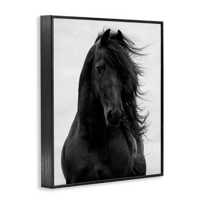 Stupell Industries 'Black Stallion Horse Portrait', Framed Giclee Art, Black, 11 x 14 Inches, Easy to Hang and Sturdy, Made in USA, by Carol Walker