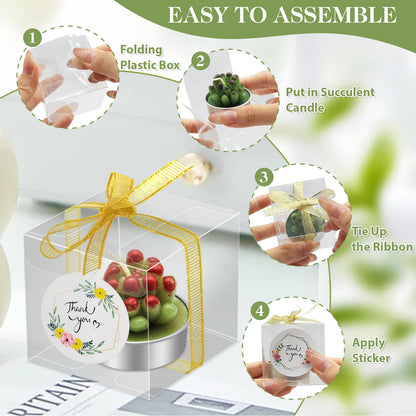 AZEAM 24 Pcs Succulent Candles Party Favors, Bulk Cactus Table Decor for Guests, Mini Tiny Handmade Plant Tealights Candle Decoration Set for Shower Prizes Game Bridal Wedding Home Birthday