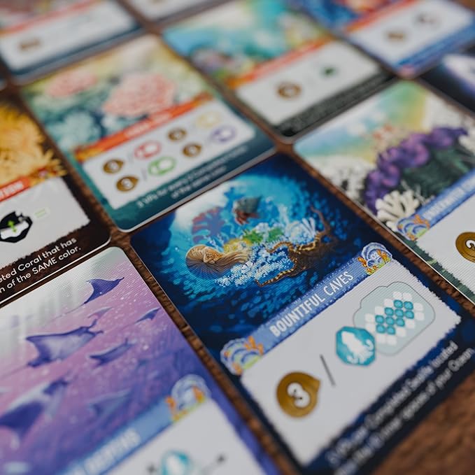 Shallow Sea Board Game – Strategy Tile-Placement Game for Adults &amp Families | 1–4 Players 30–45 Min Play | Build Coral Reef Ecosystem Ocean Puzzle Game Nature-Inspired