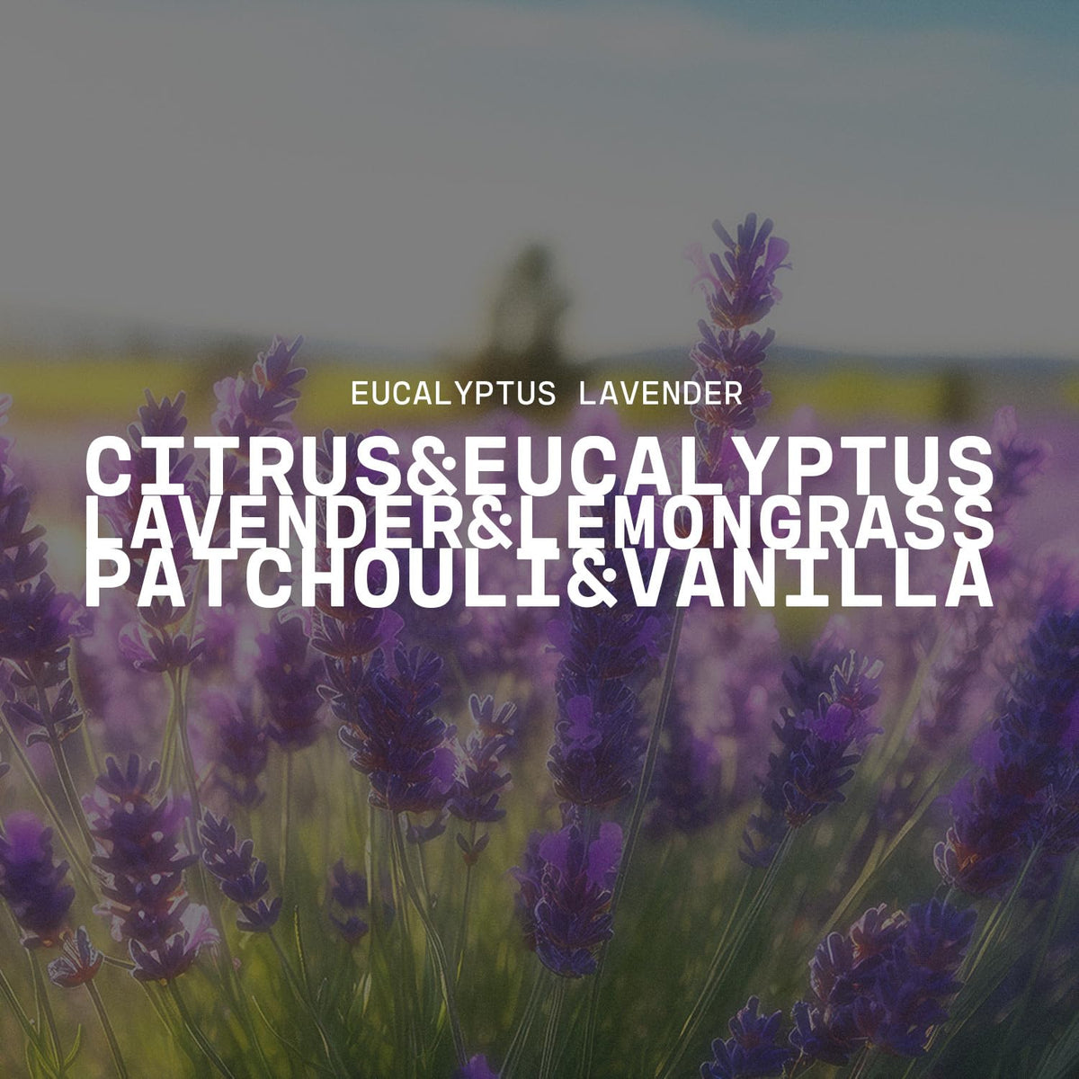 Milkhouse Candle Company Eucalyptus Lavender Soy Candle - Lavender | Eucalyptus | Soft Spice Scented - 5 oz Cream Jar with Black Lid, 35+ Hour Burn Time, Made in the USA