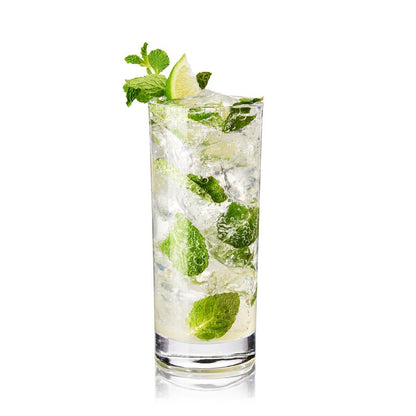 True Highball Glasses, Tall Glass Tumbler for Cocktails, Mojito Iced Tea Juices, Soda Water Drinking Cups, Kitchen Glassware, Home Bar, 11 oz Set of 4