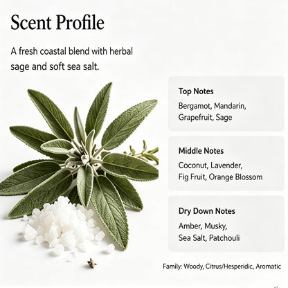 Sea Salt Sage Soy Candle, Driftwood Aromatherapy Candle for Home, Natural Soy Wax Sleep Candle with Citrus Woody Scent for Bedroom, Relaxation, Bath & Self Care Gift