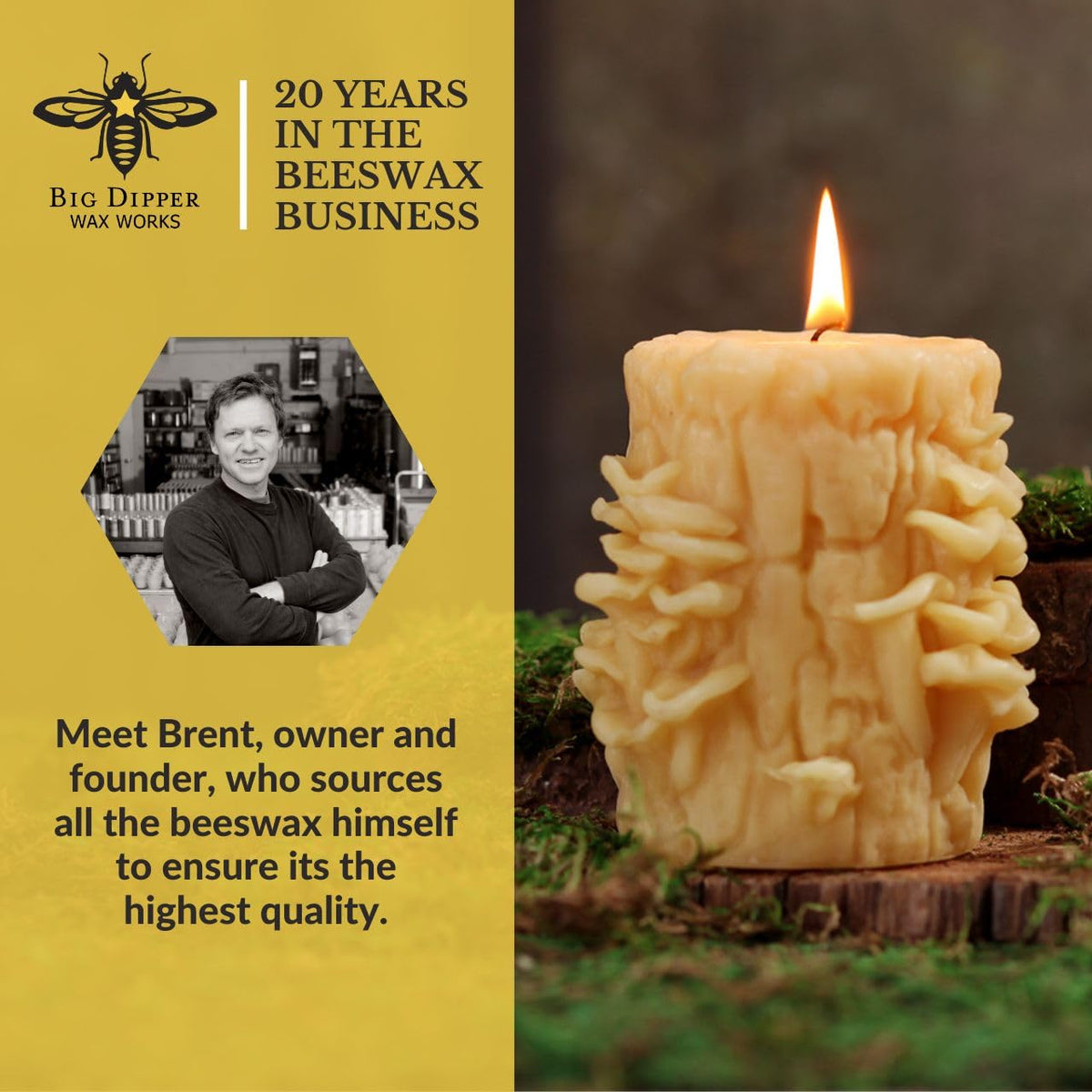 Big Dipper Wax Works Beeswax Oyster Mushroom Candle – Handcrafted 100% Pure Beeswax, Unscented, 60-Hour Clean Burn, Eco-Friendly Sculpted Woodland Décor Gift for Nature Lovers, 4" x 3.25"
