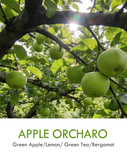 AOOVOO Apple Orcharo Odor Eliminating Candle - Up to 50 Hours Burn time, Eliminates 95% of Pet, Smoke, Food, and Other Smells Quickly, 9 oz Non Toxic Highly Fragranced Air Freshing Soy Candle