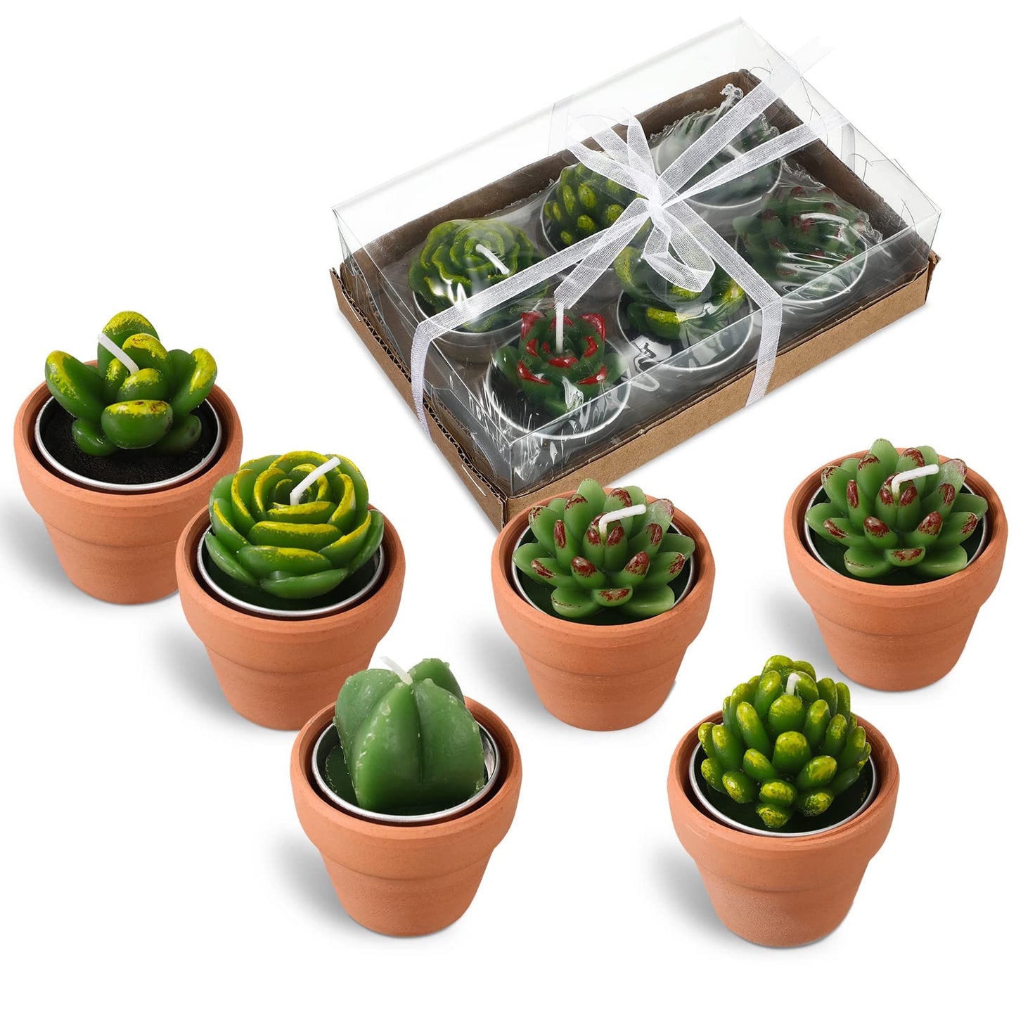 Treela 6 Pcs Succulent Candles, Decorative Cactus Candle with Mini Terracotta Pots, Handmade Tealight for Baby Shower Home Decor Birthday Wedding Fiesta Cinco De Mayo Party Decorations Party Favors